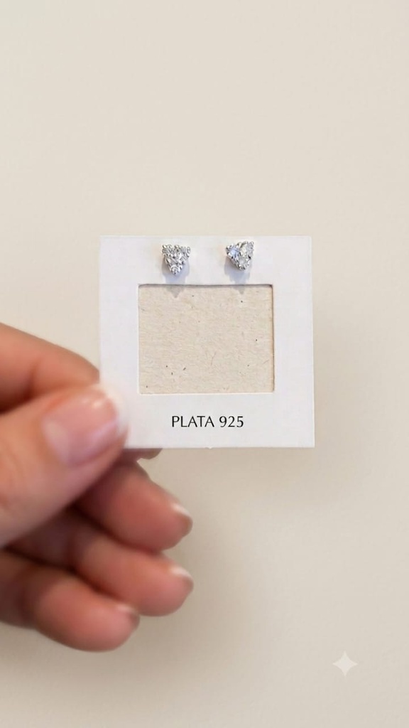 Aros Plata 925