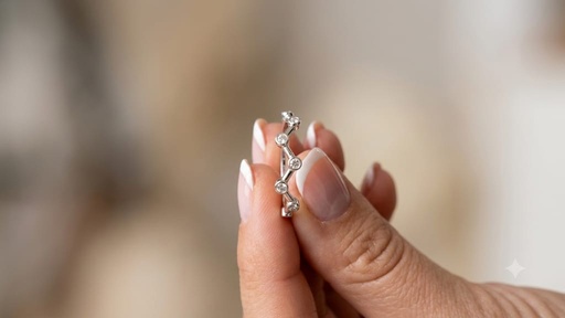 [AN5] Anillo Plata 925
